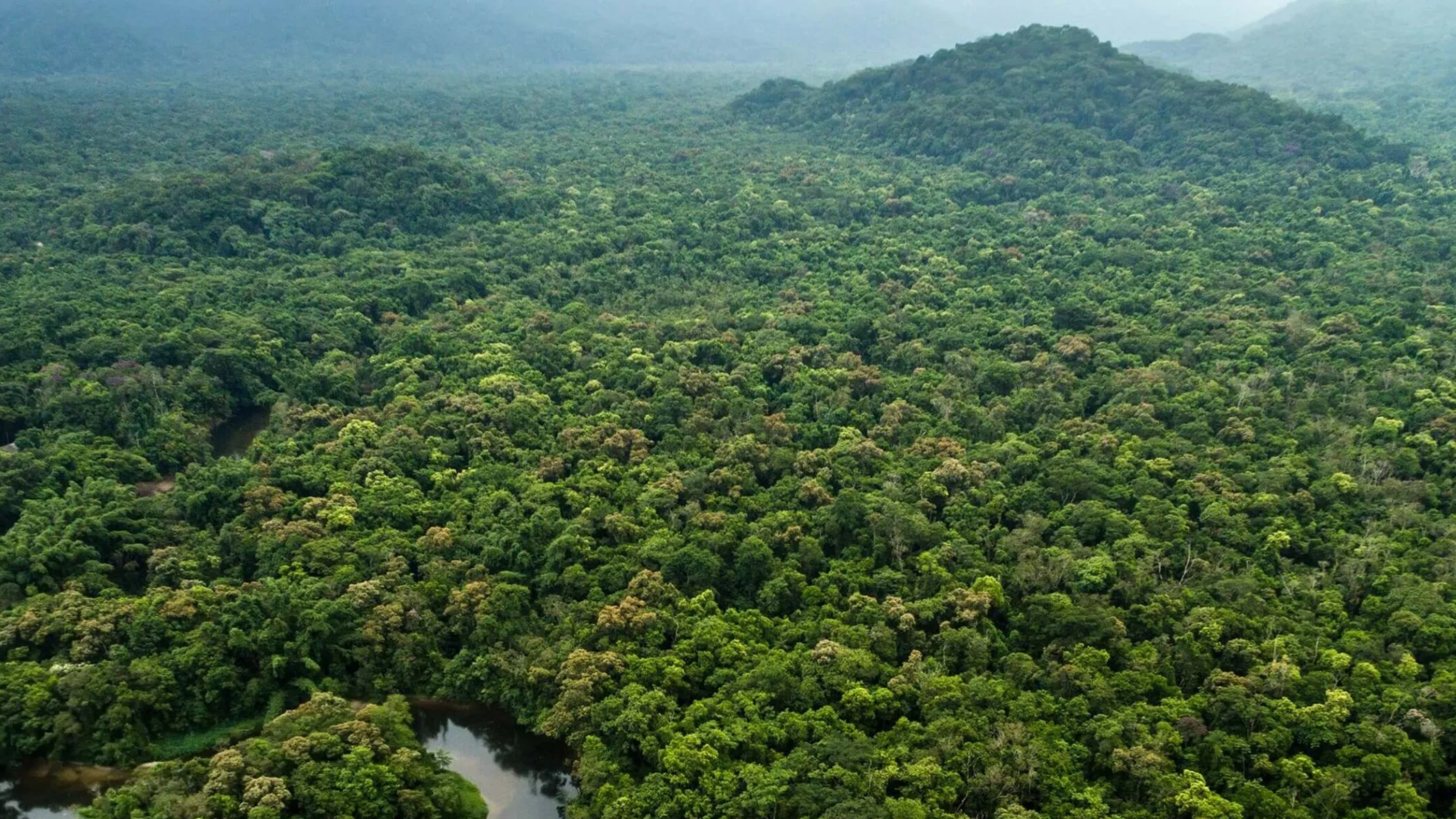 colombiamazon2