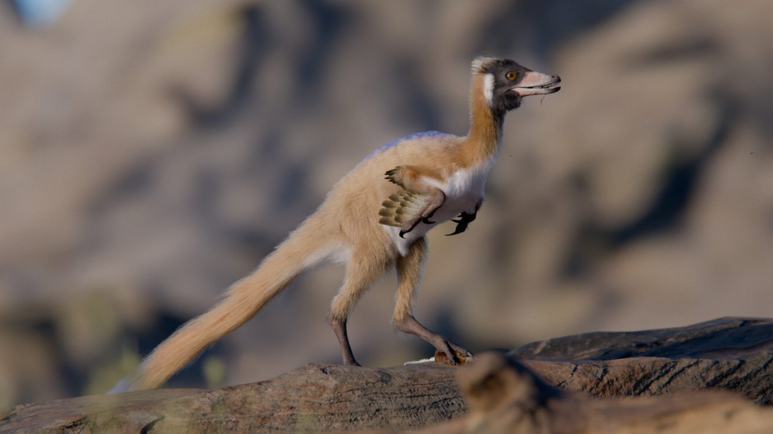 dino passaro1